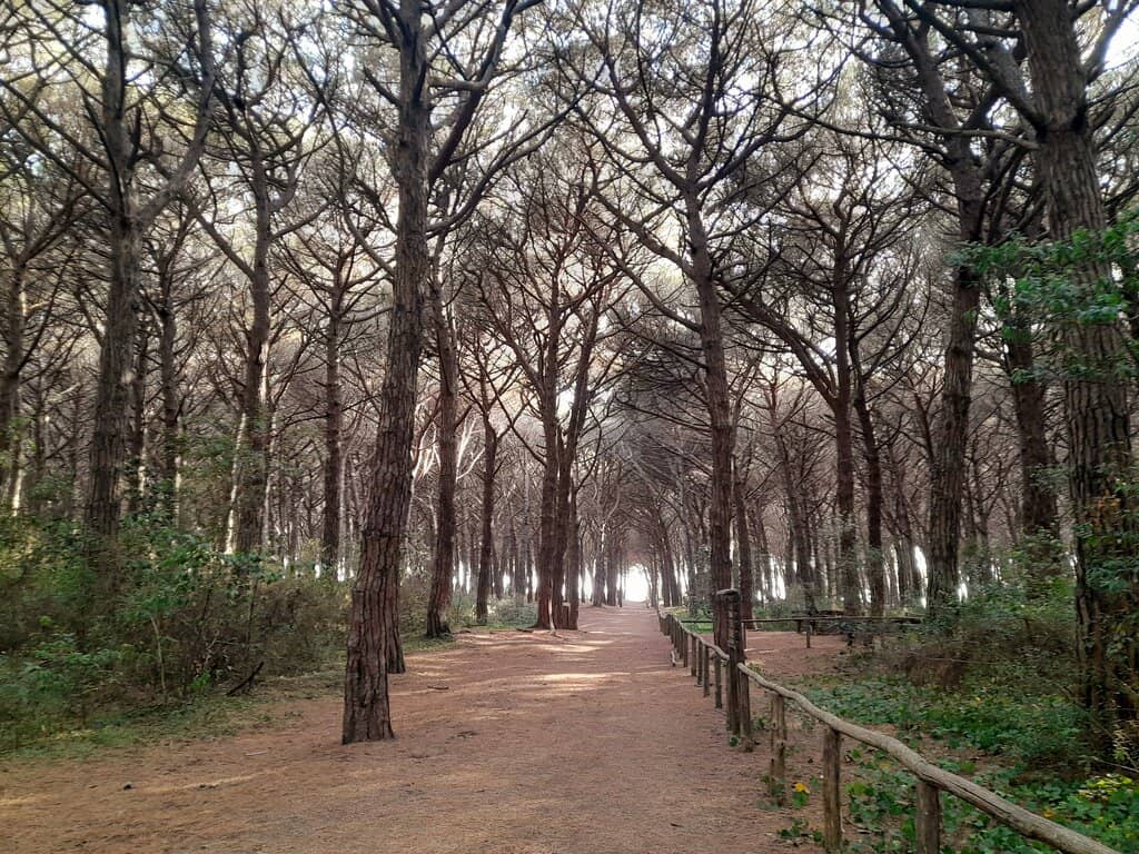 Vertical photo