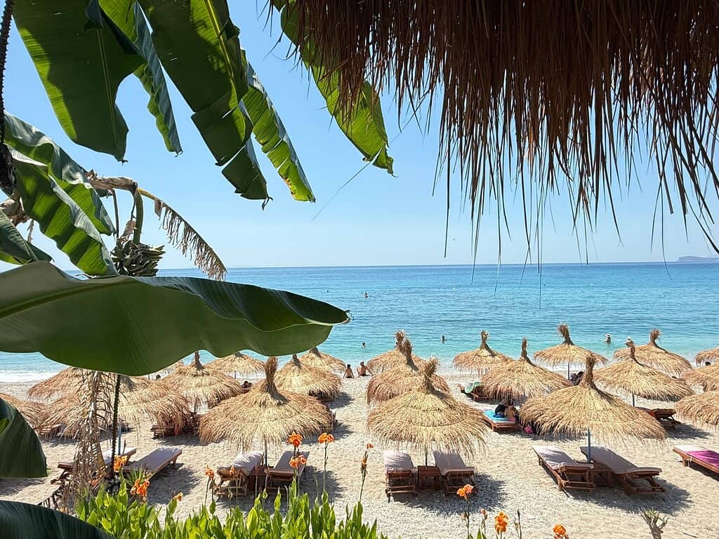 Wild Beach Exploration