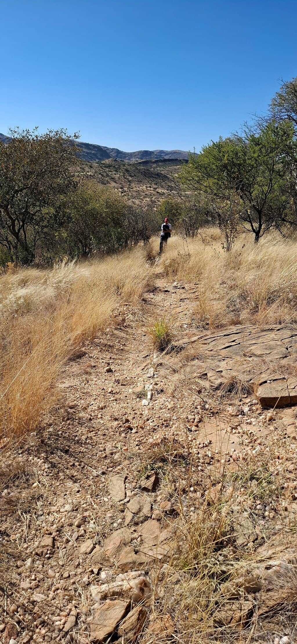 Birdwatching Opportunities