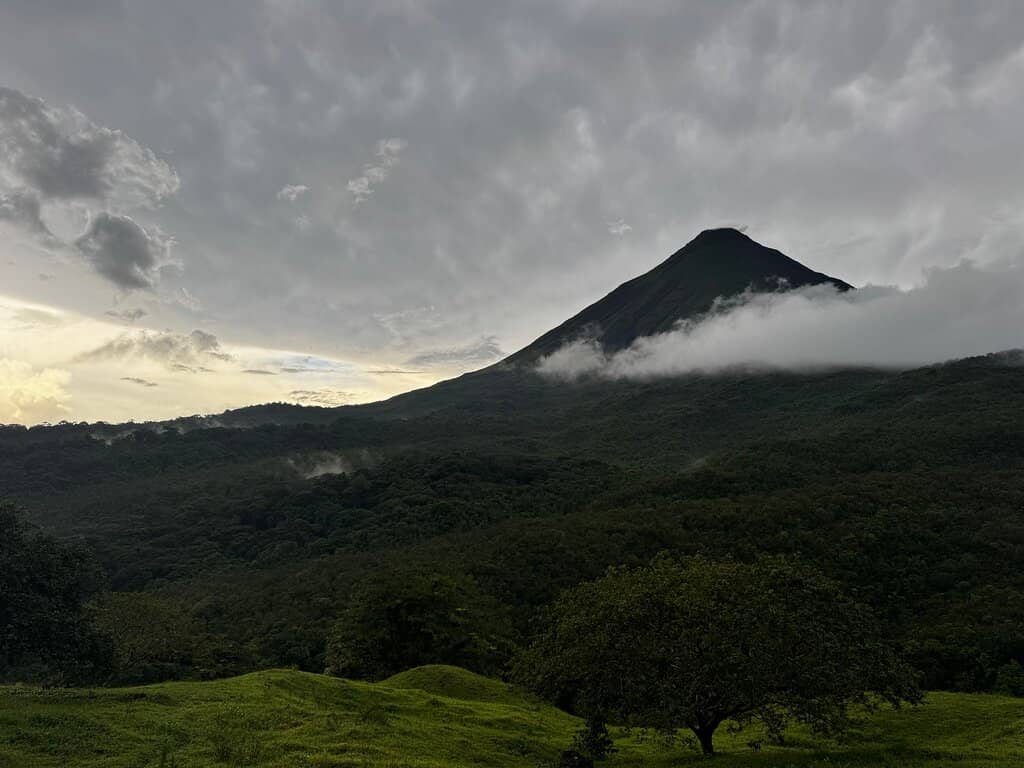 Abundant Wildlife Encounters