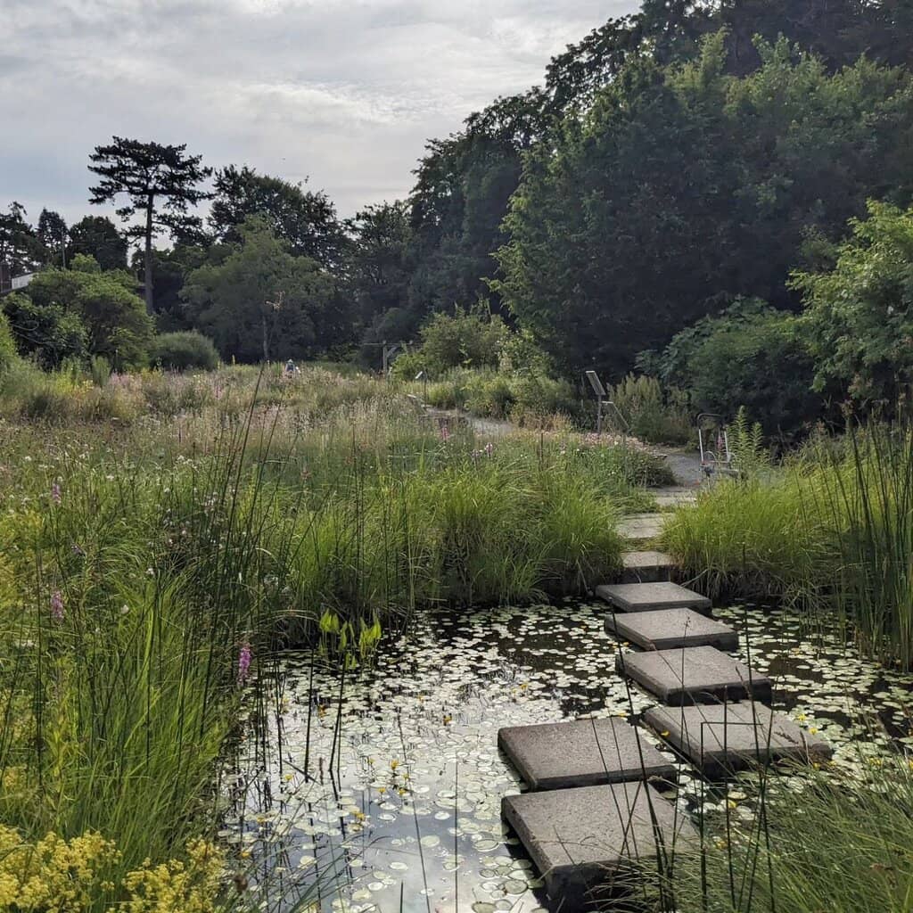 Serene Atmosphere
