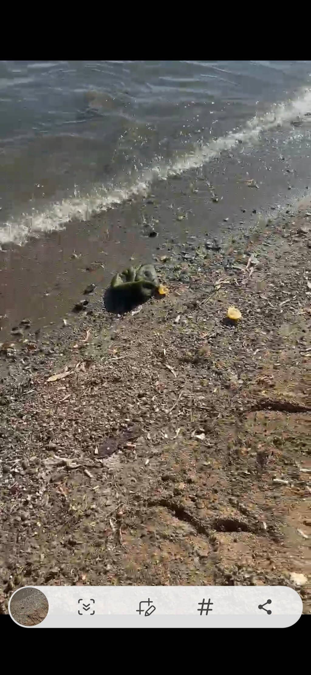 Water Sports & Activities