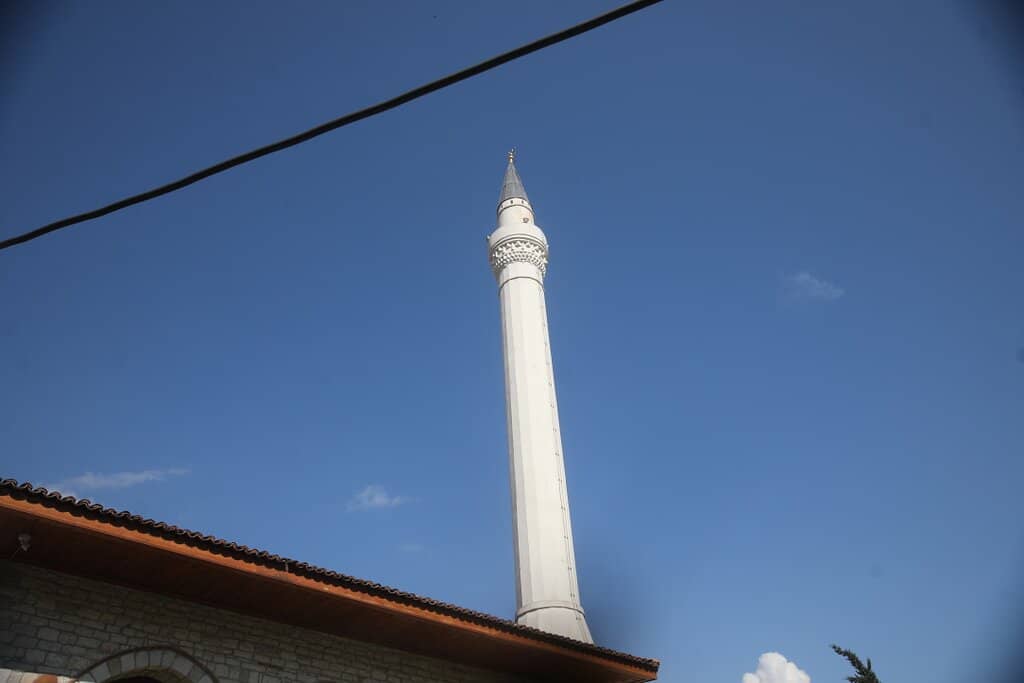 Vertical photo