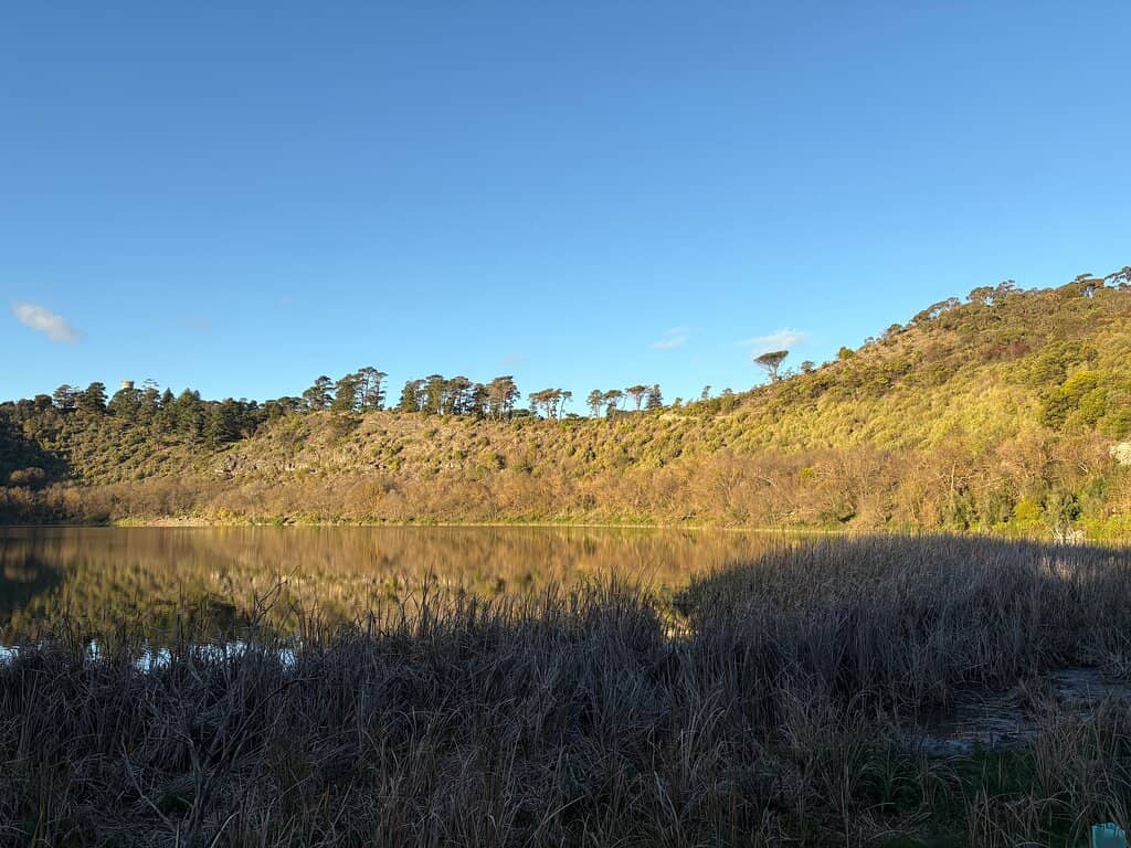 Bird Hide