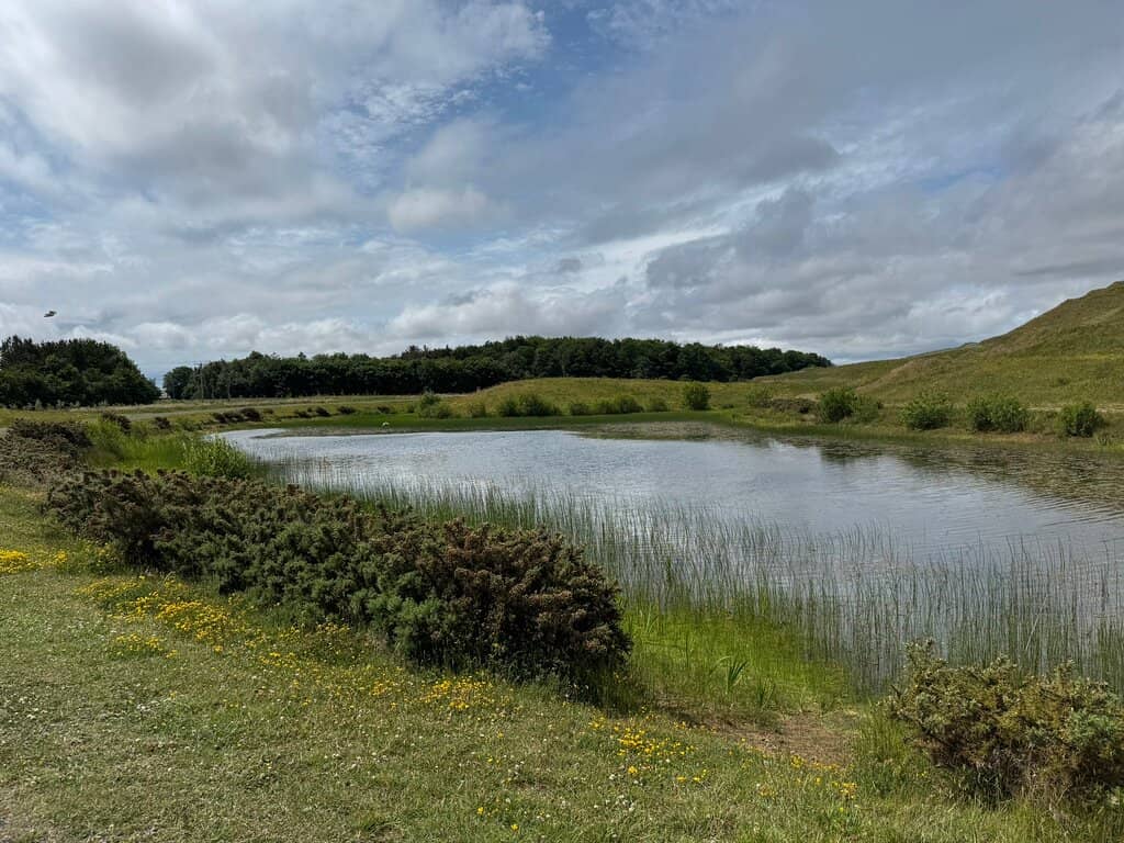 Panoramic Countryside Views