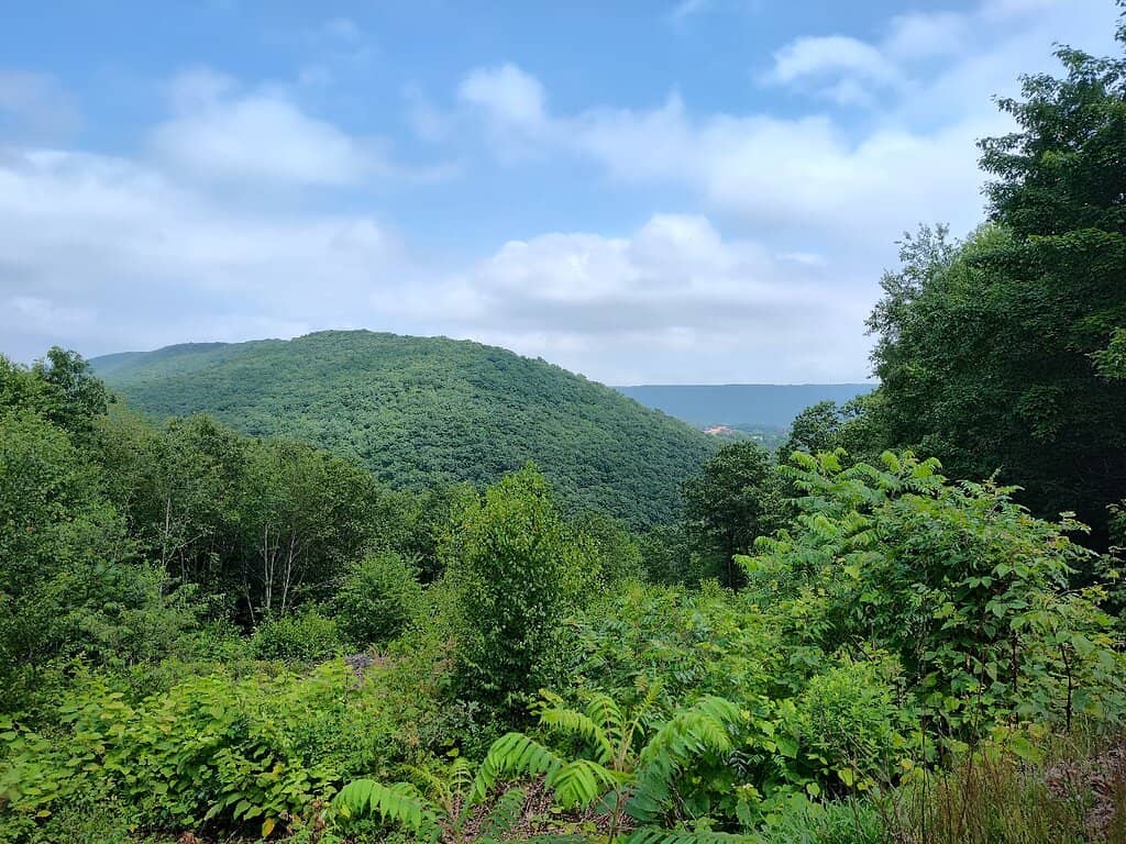 Lehigh Valley Coal Company 123