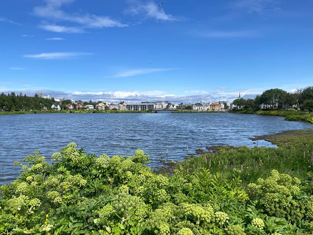 Tjörnin Pond