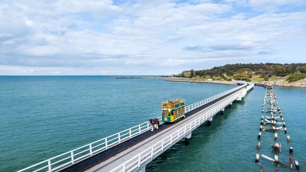 Clydesdale Horse Encounter