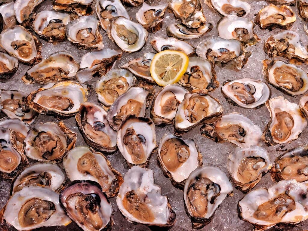 Fresh Seafood Excellence