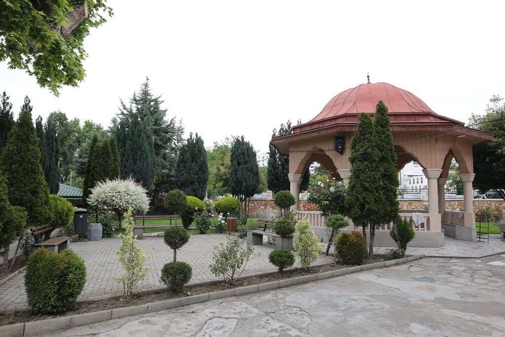 Rose Garden Oasis