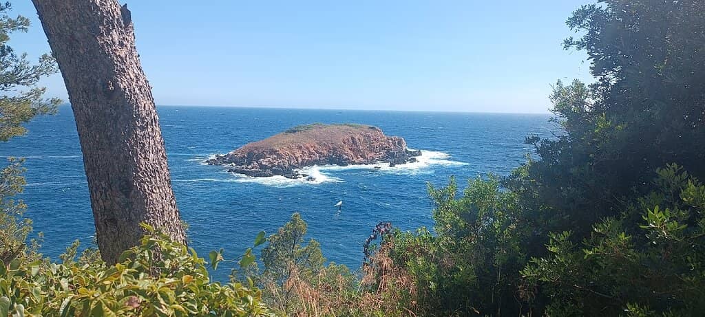 Panoramic Views