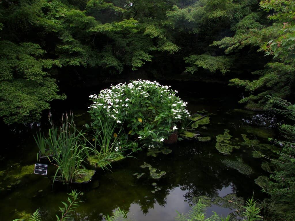 Uji City Botanical Gardens