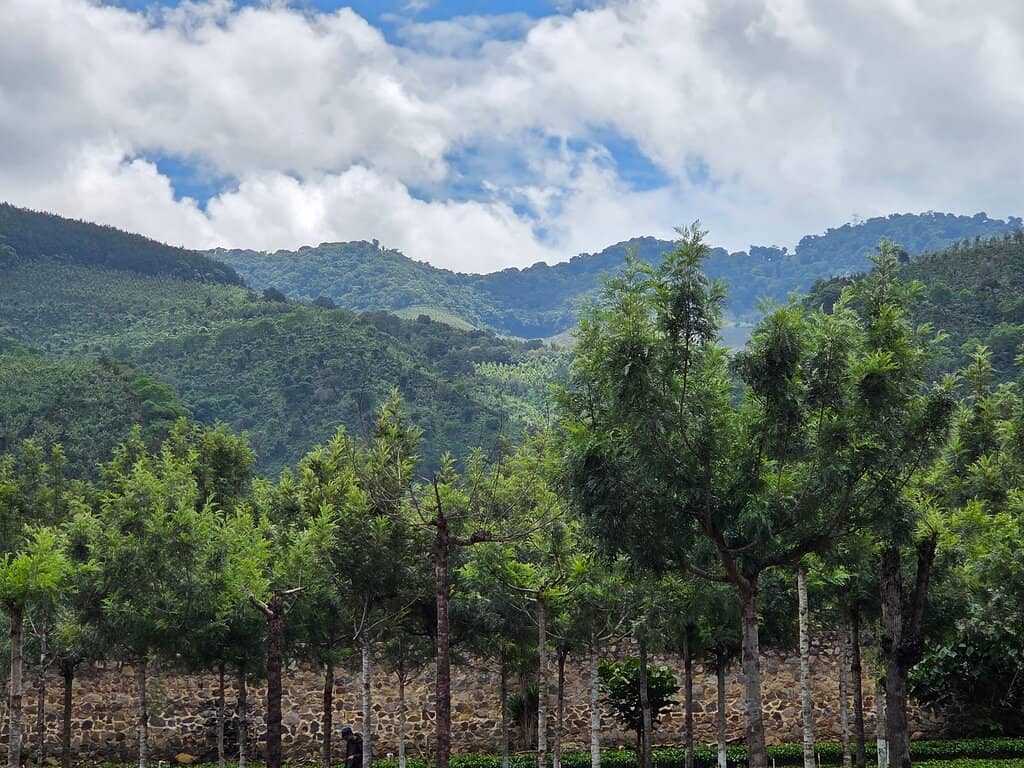 Truck Tour Experience