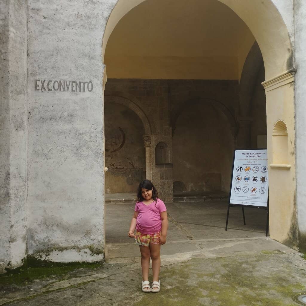 Contemporary Art Exhibitions