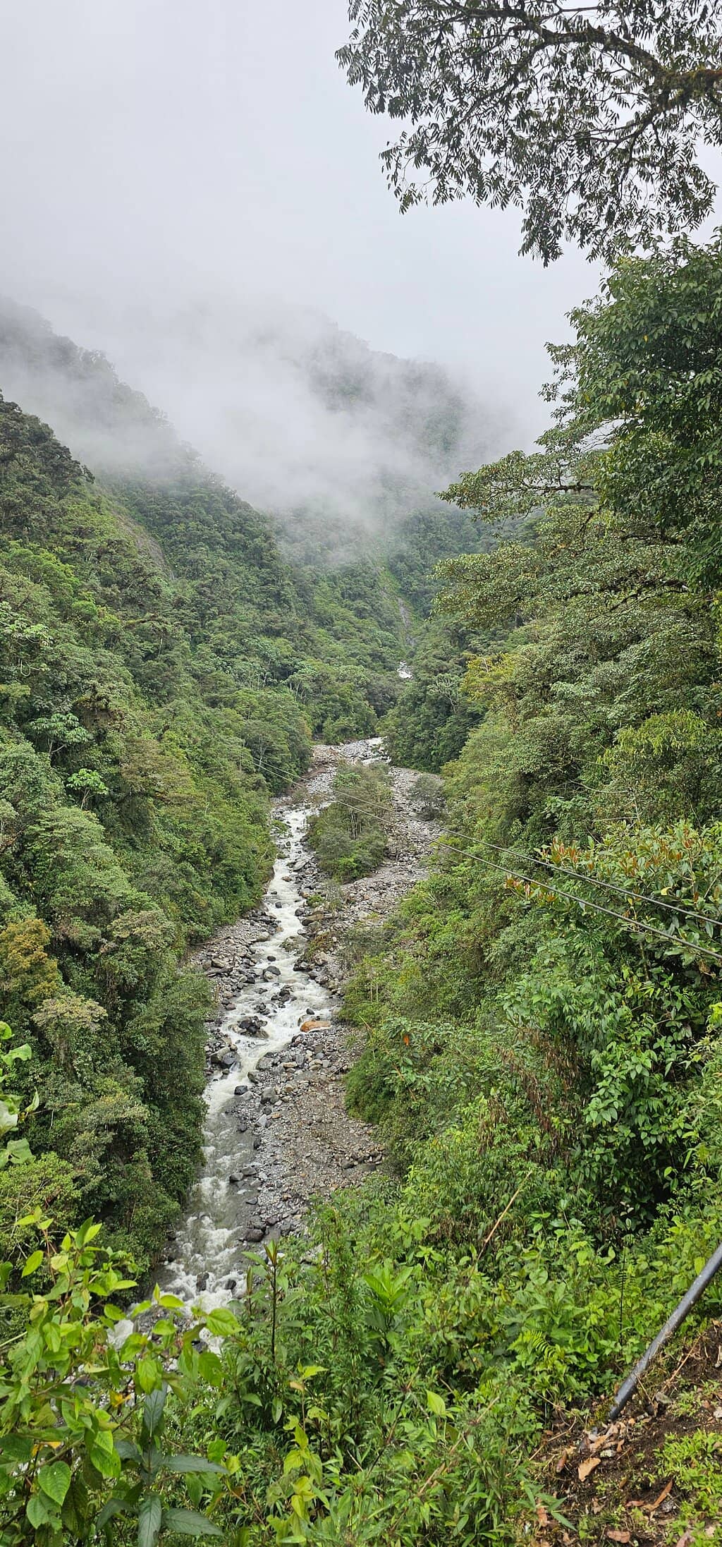 Scenic Zipline Views
