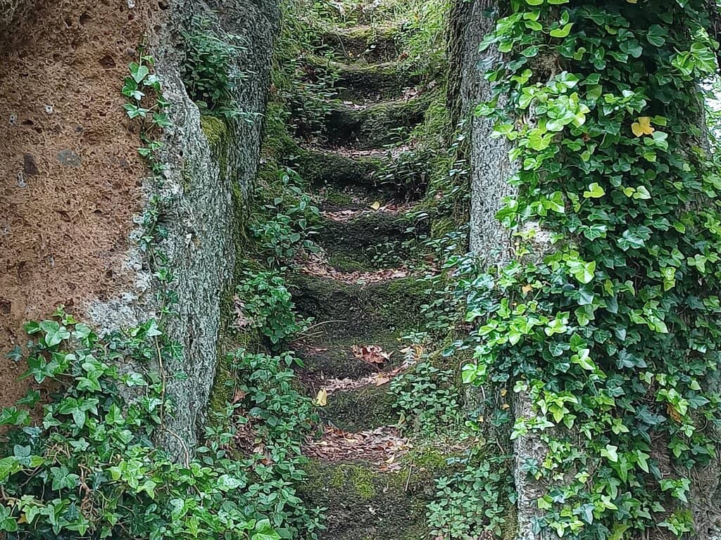 Medieval Ruins