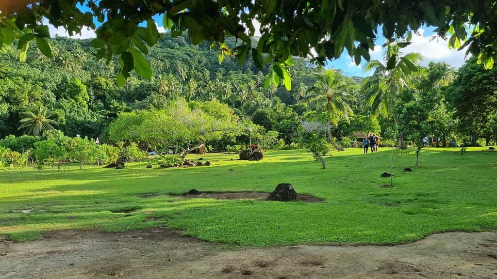 Vanilla Plantations