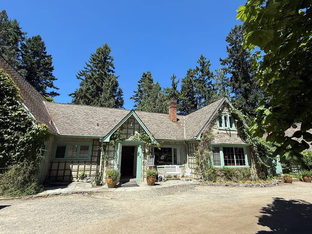 Christmas Light Spectacle