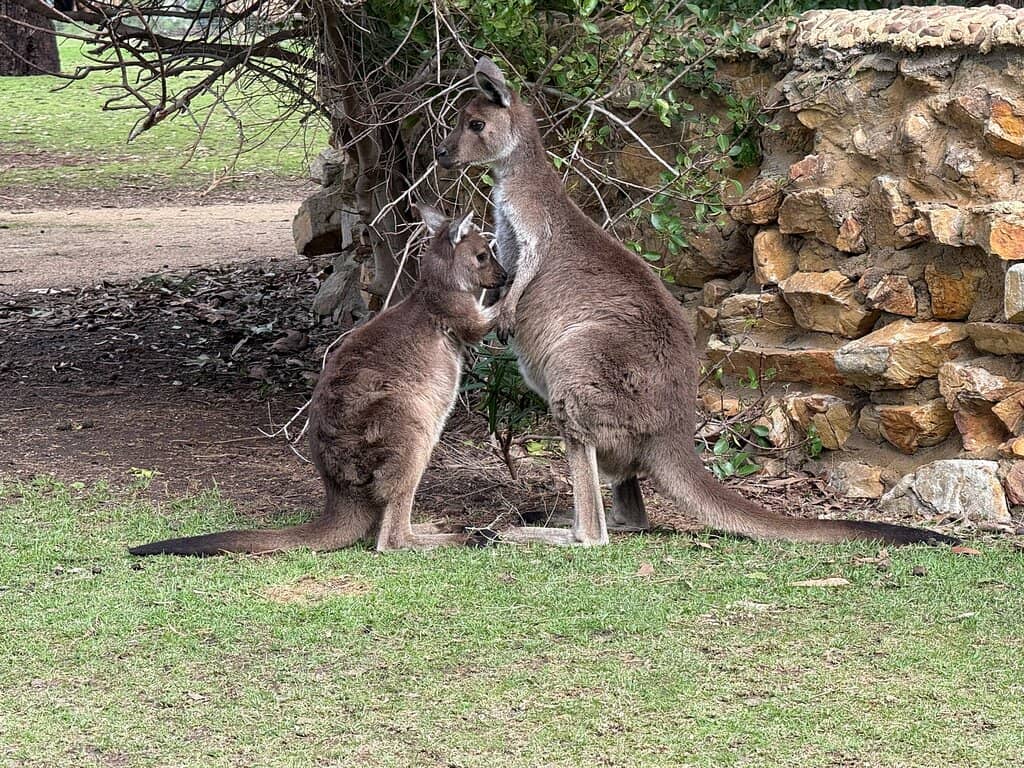 Wetland Bird Sanctuary