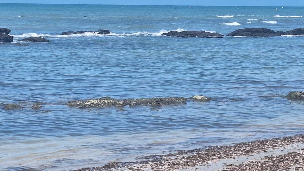 Gentle Waves for Families