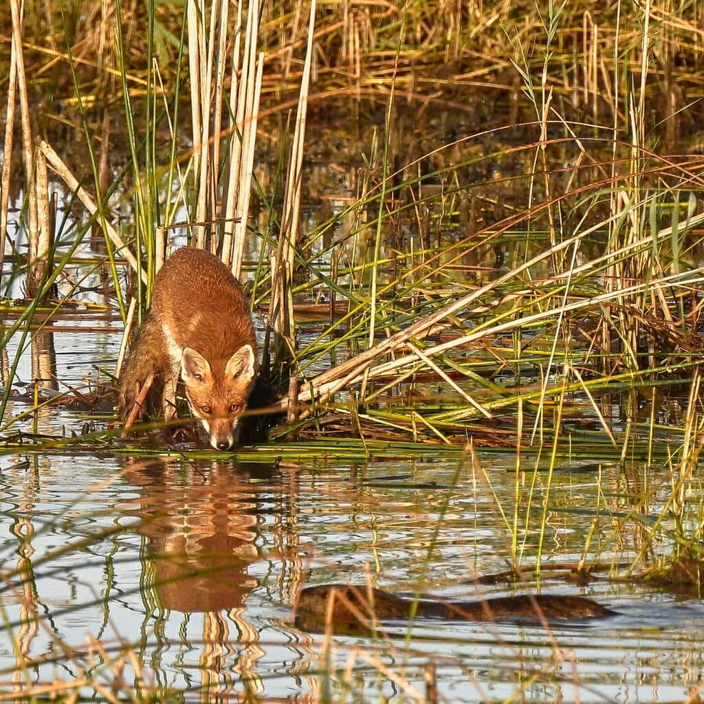 Scenic Cycling & Walking Paths