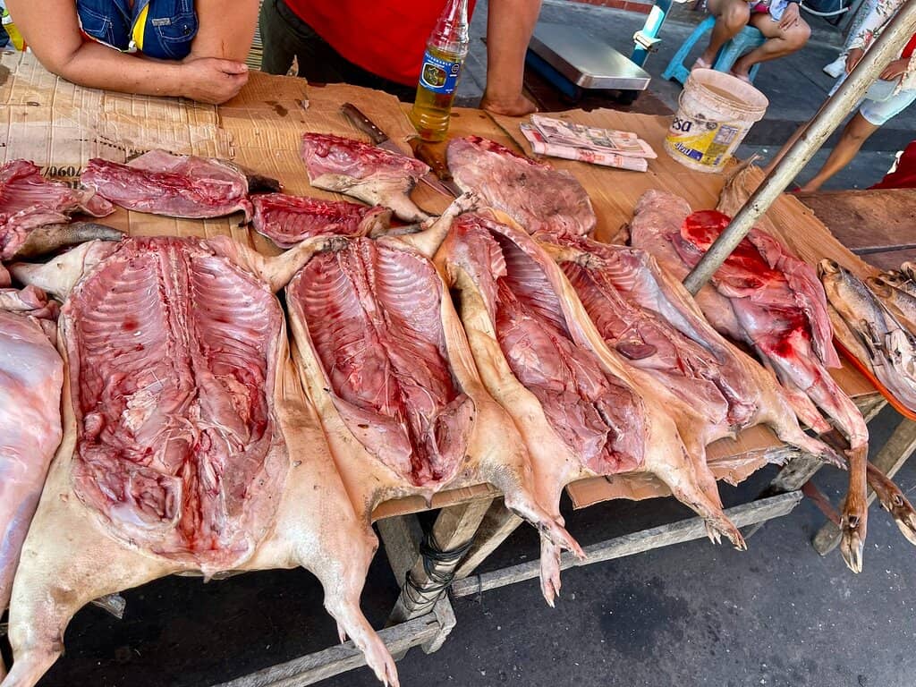 Exotic Amazonian Delicacies