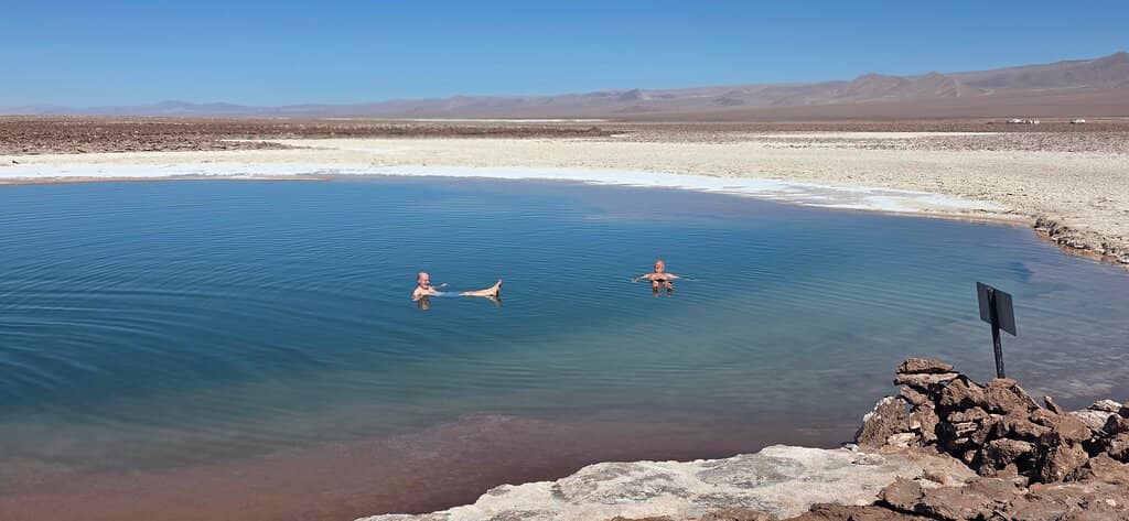 Salt-Crusted Landscapes