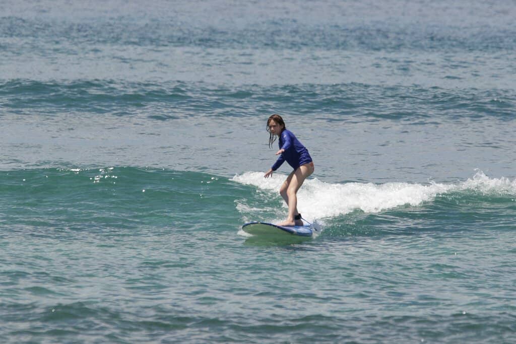Unique Driftwood Art