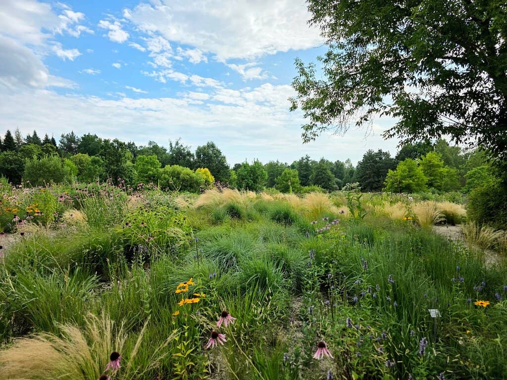 Educational Family Walks