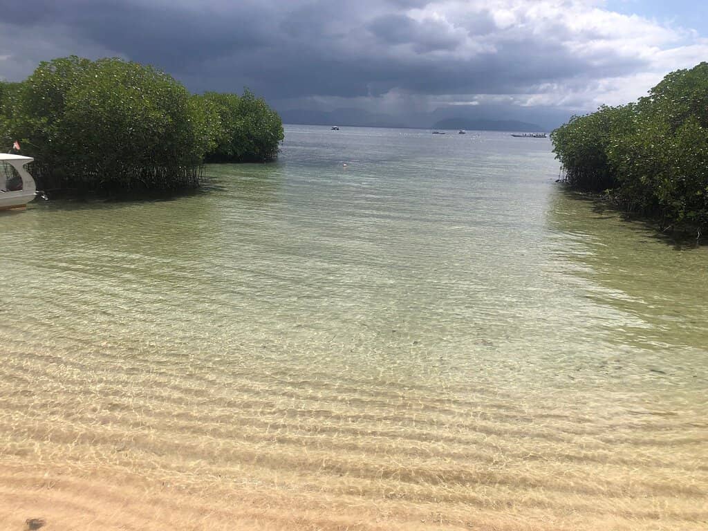 The Magical Ocean Opening