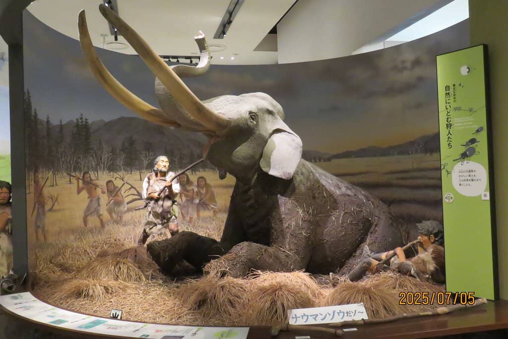 Interactive Exhibits