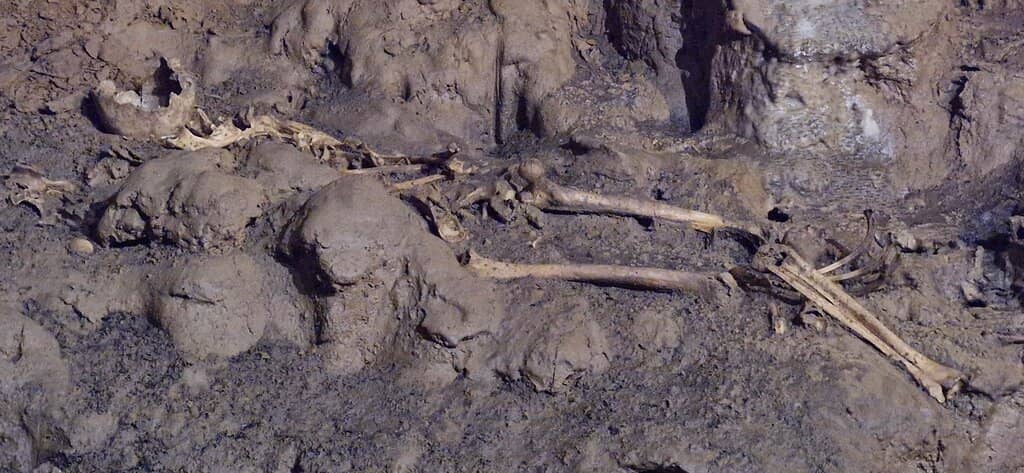 The Cave's Underground River