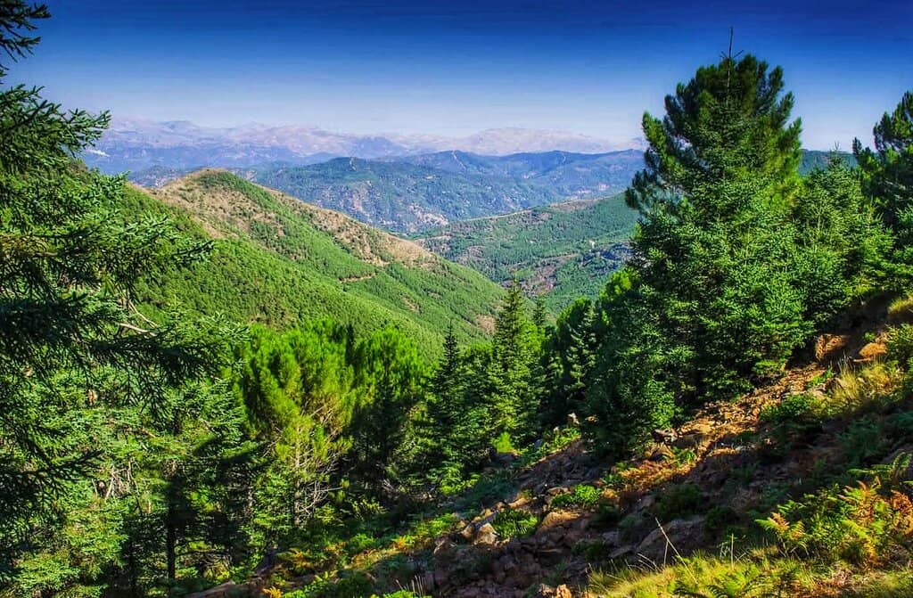 Venta El Refugio