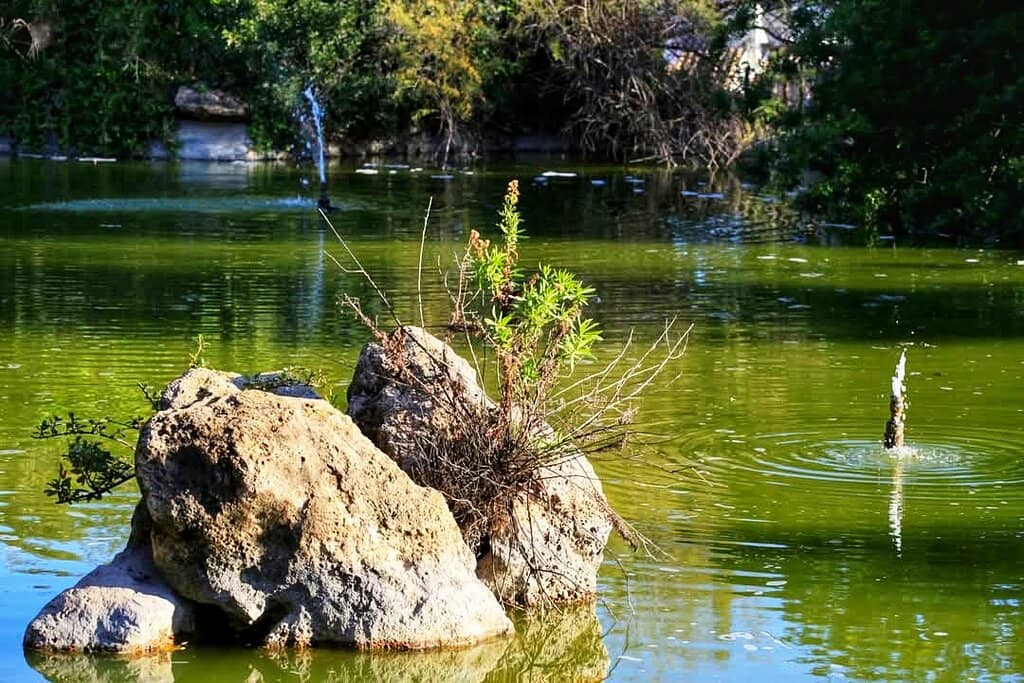 Painted Steps