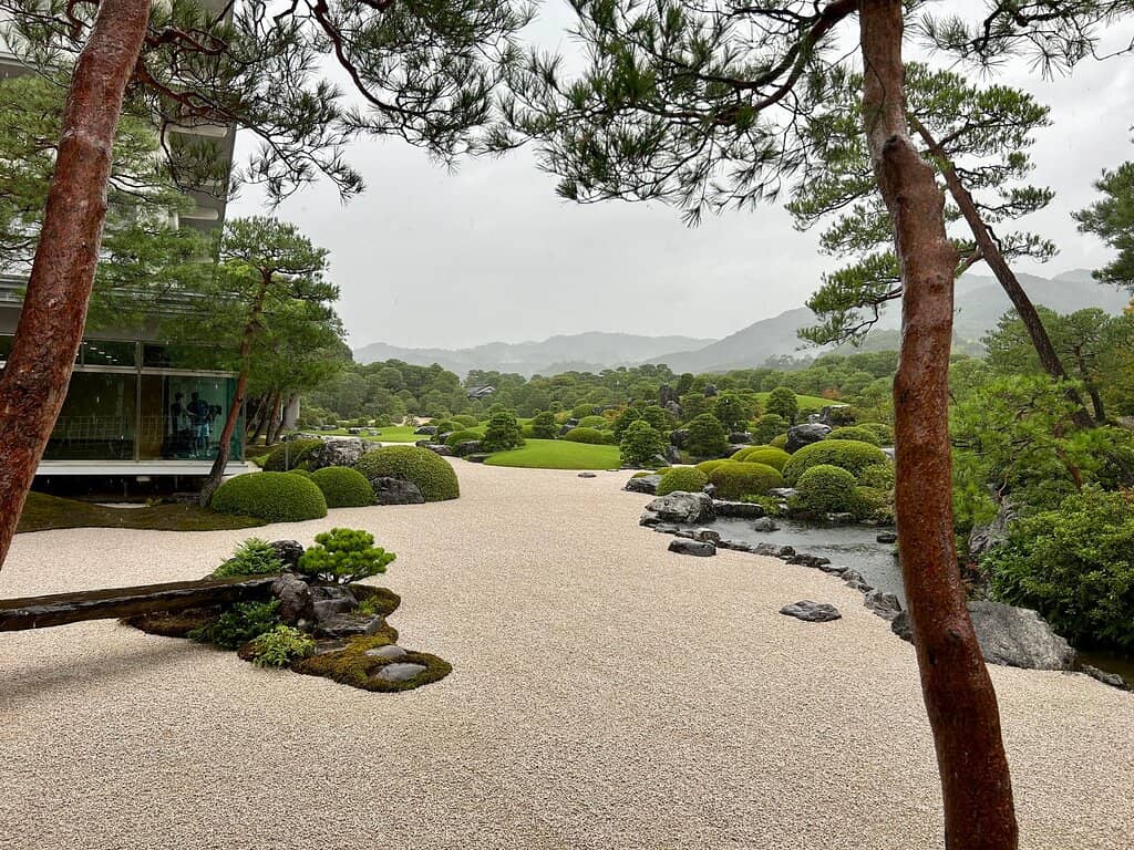 Living Canvas Views