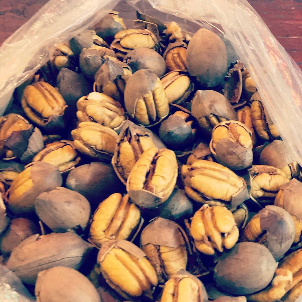 Specialty Food Stalls