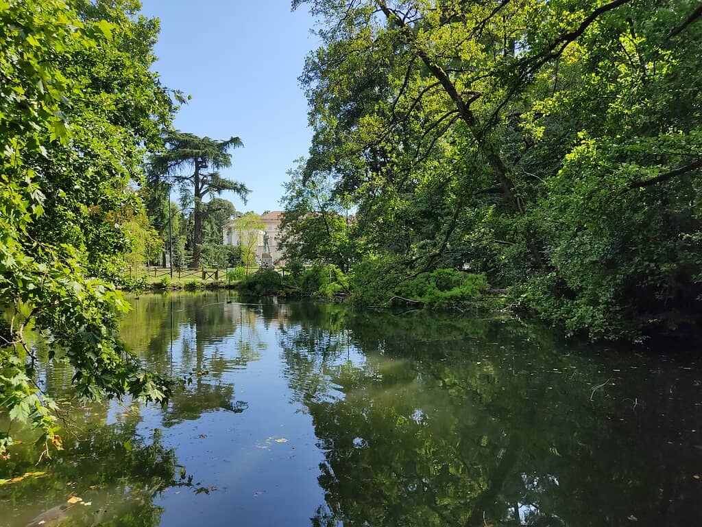 Vertical photo