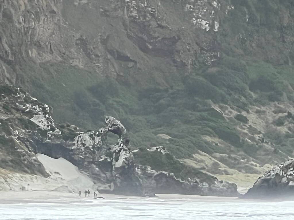 Aramoana Beach