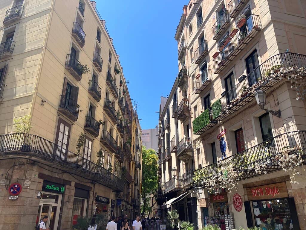 Fet al Born Market