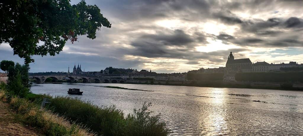 Loire Estuary Wildlife