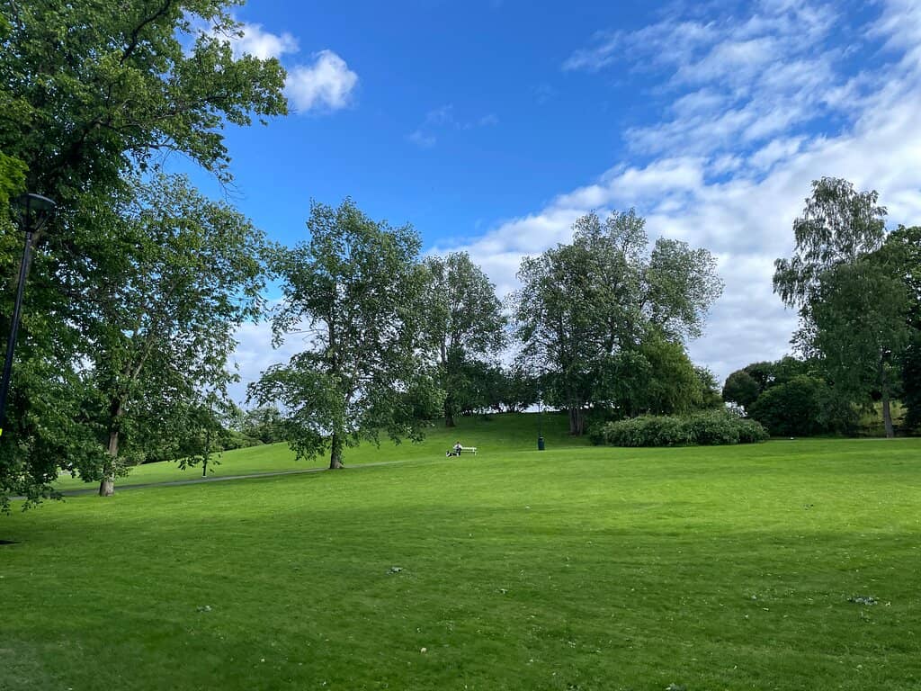 Picnic Paradise