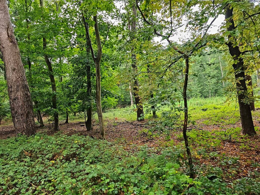 Biodiversity Hotspots