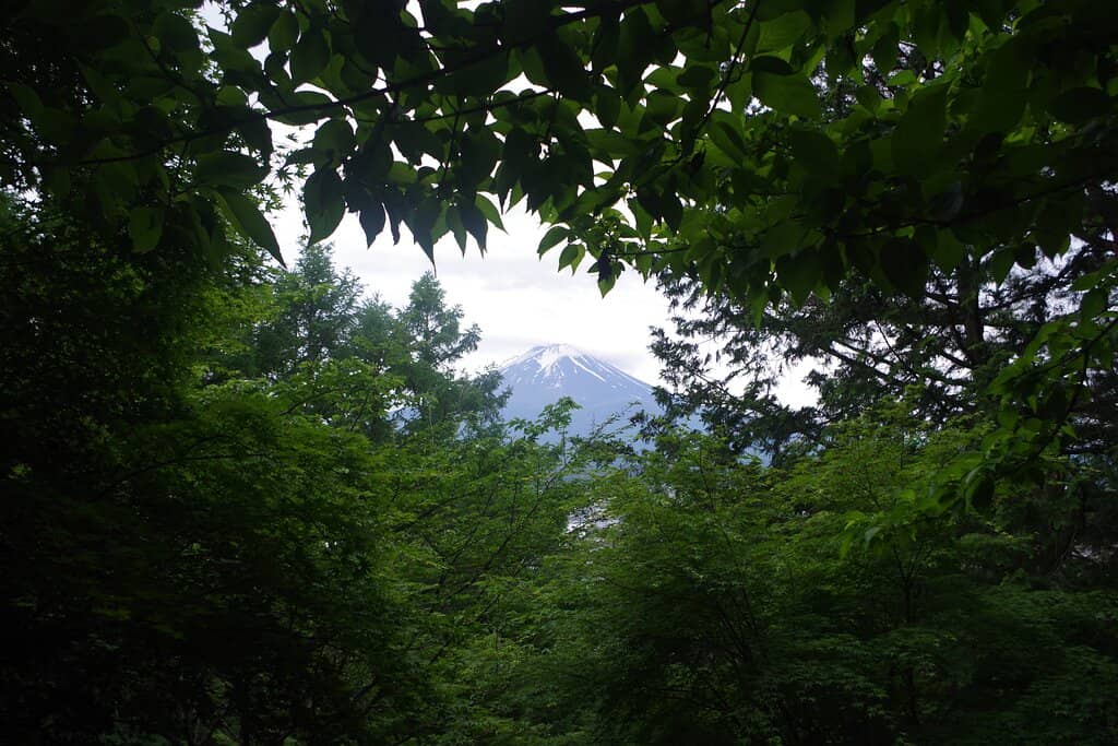 Yoshida Trailhead