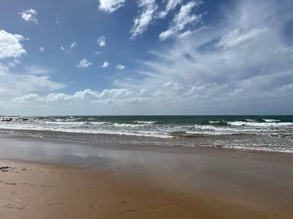 Scenic Boardwalk & Views