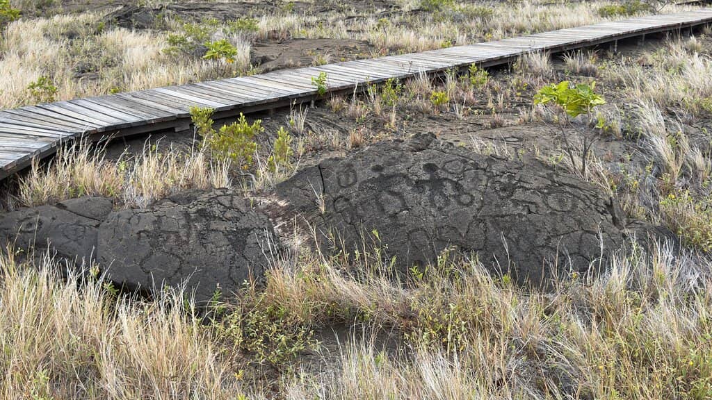 Vast Petroglyph Field