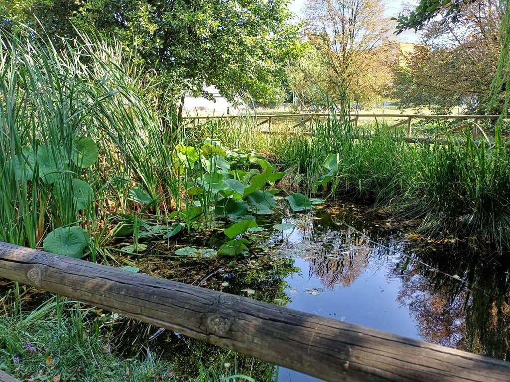 Street Food Festivals