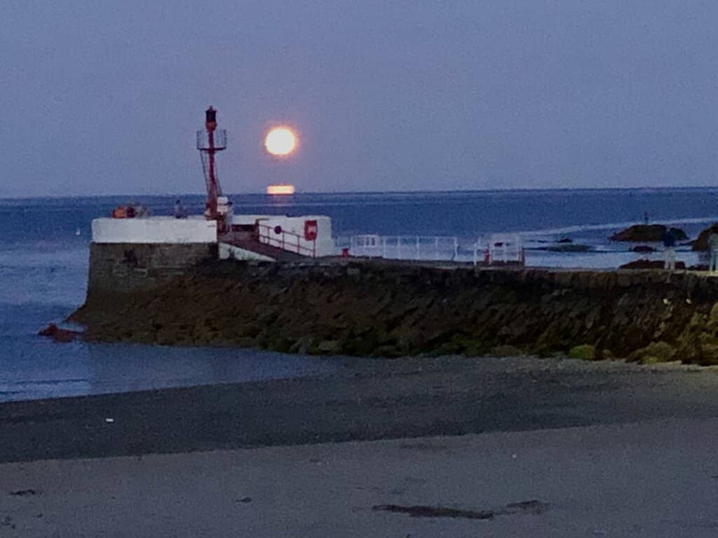 Family-Friendly Swimming