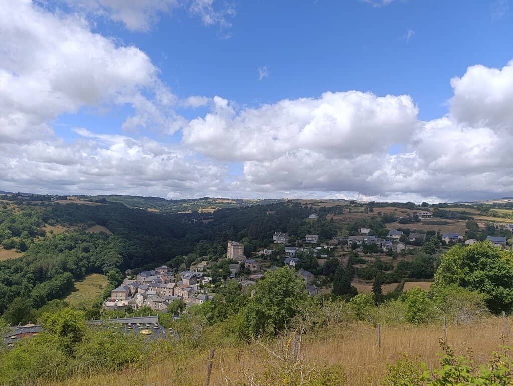 Interactive Insect Displays