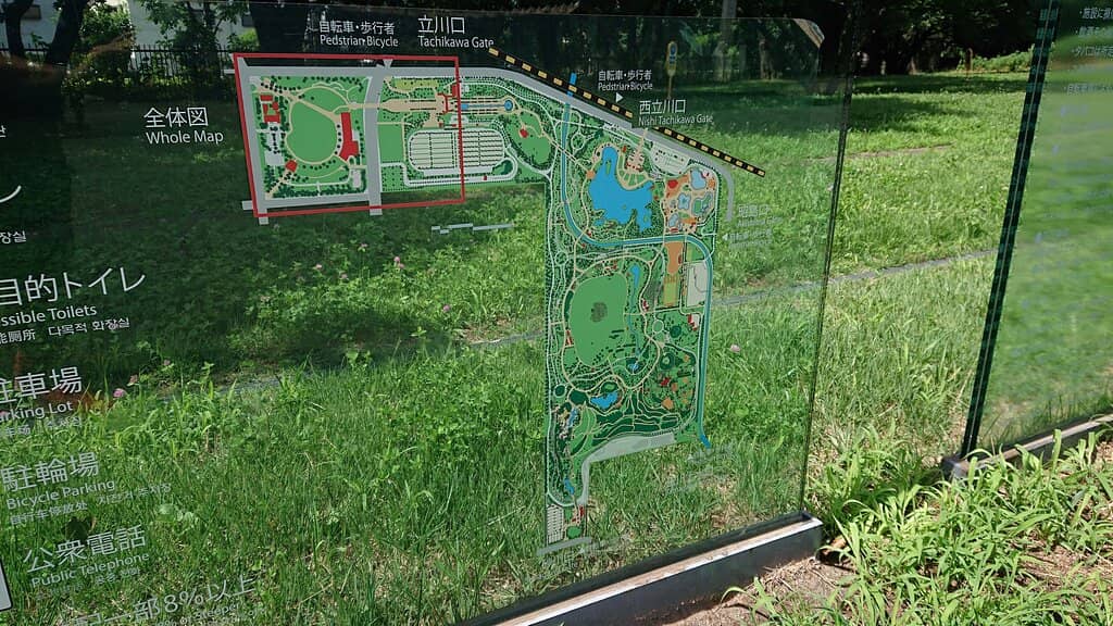 Cosmos Flower Fields