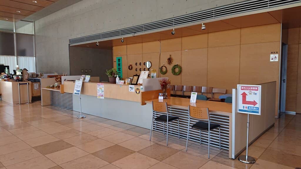 Springtime Tulip and Cherry Blossom Spectacle